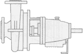 Buffalo Medium